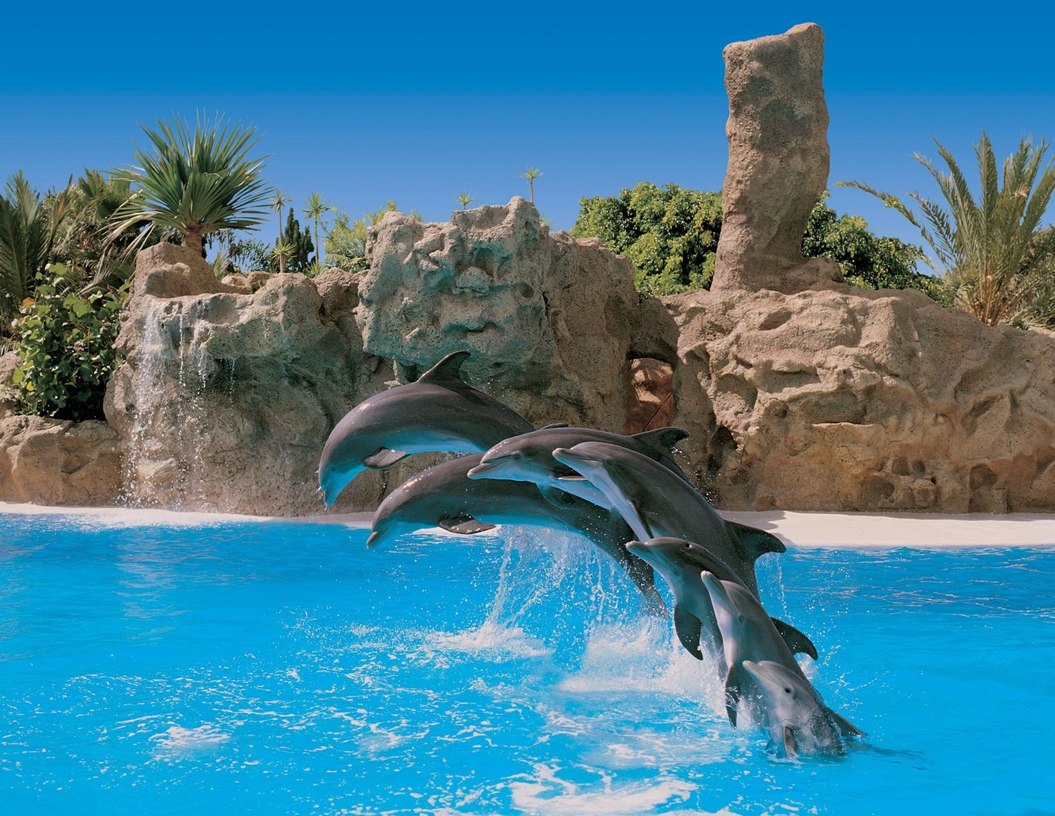 Loro Parque